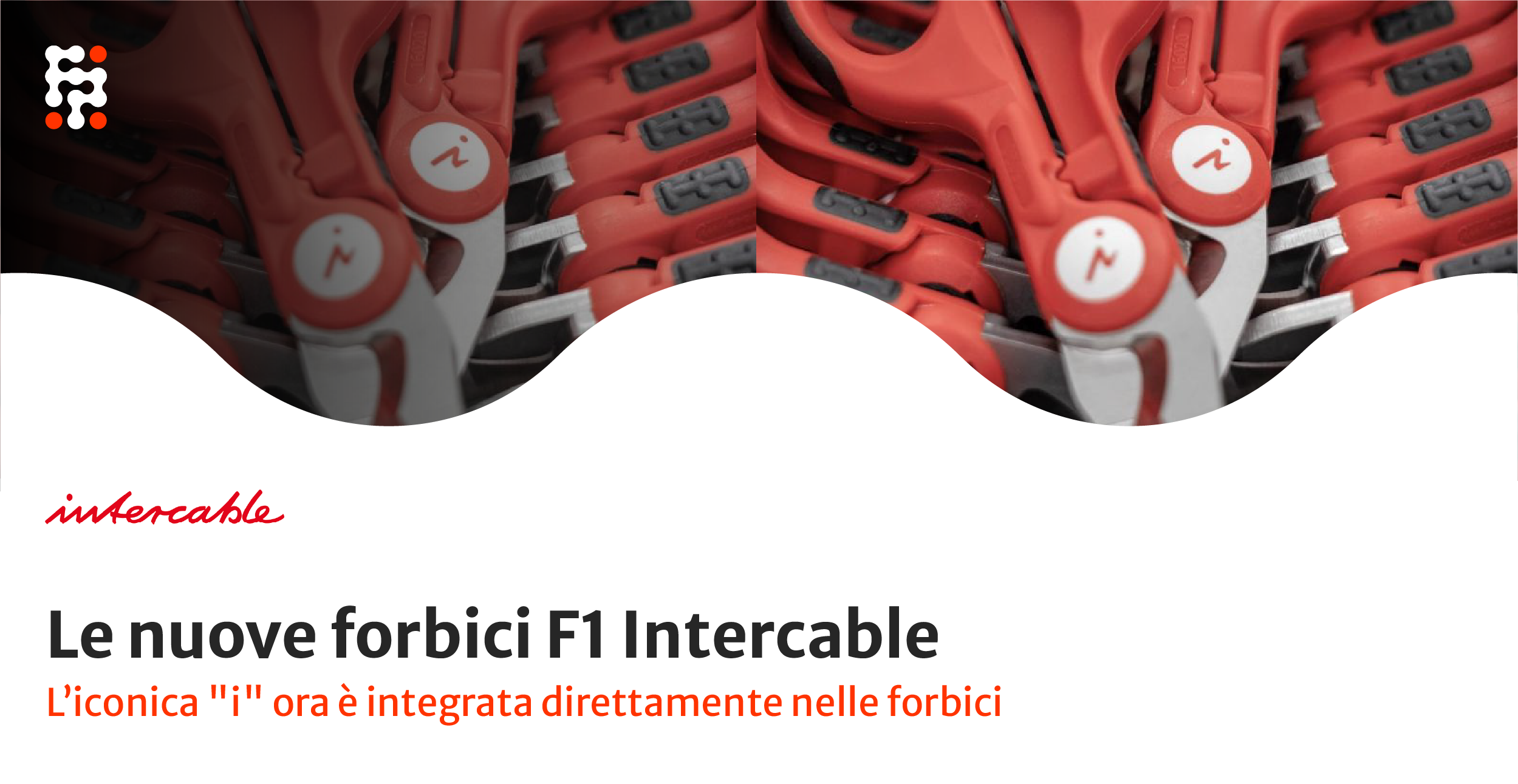 Forbici Intercable 16020-F1